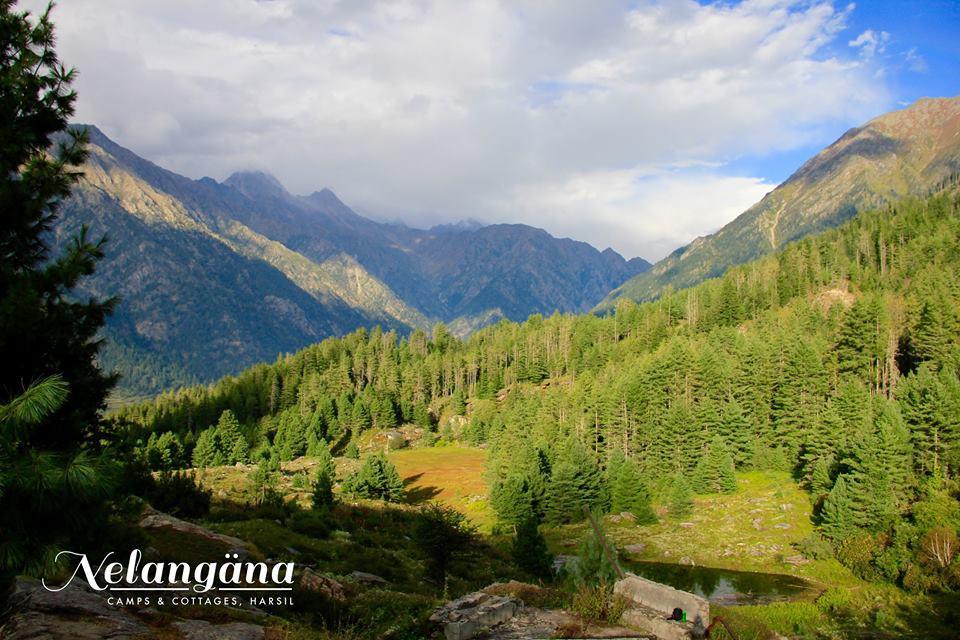 Nelangana Resort Harsil Dış mekan fotoğraf