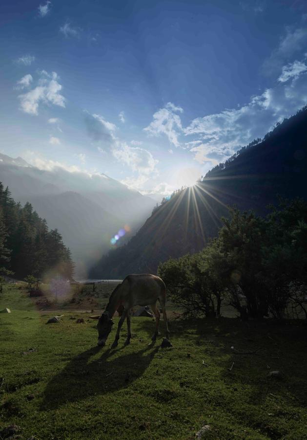 Nelangana Resort Harsil Dış mekan fotoğraf