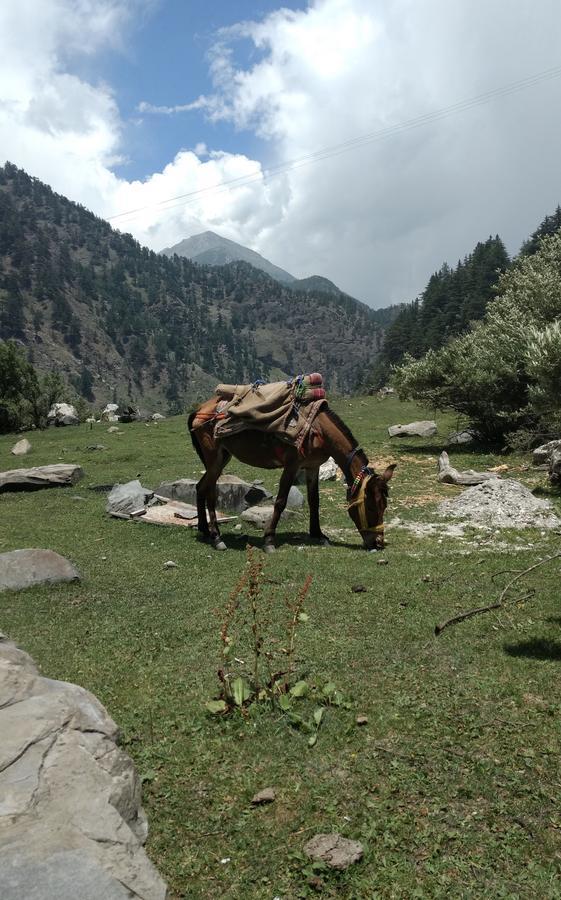 Nelangana Resort Harsil Dış mekan fotoğraf